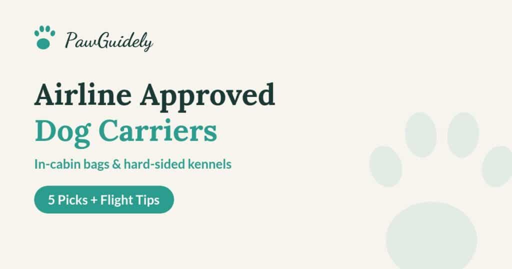 Airline approved dog carriers guide from PawGuidely