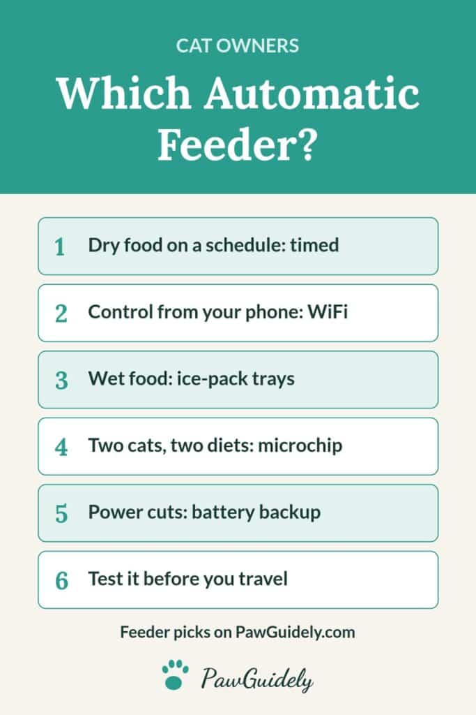 Pinterest pin: which automatic cat feeder suits your cat