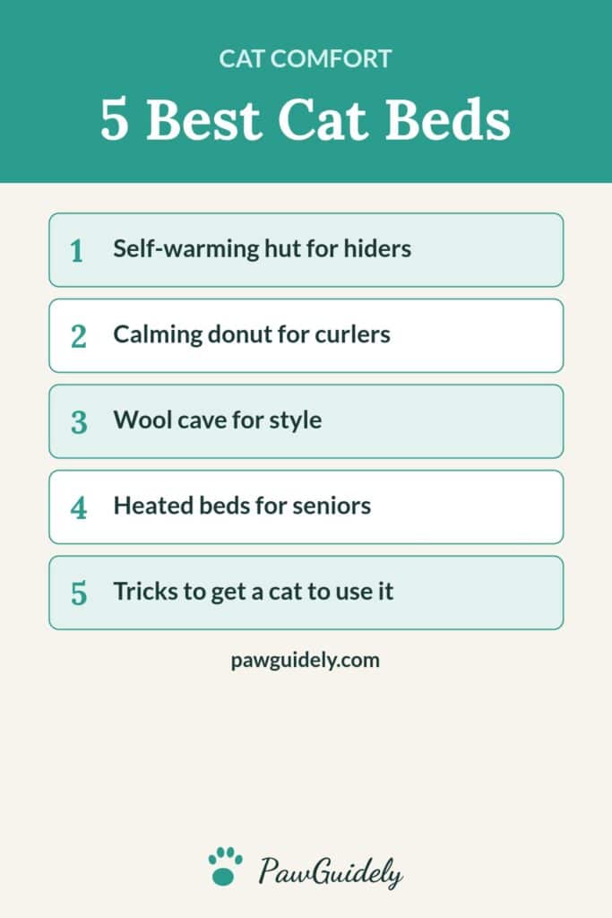 Pinterest graphic: 5 best cat beds