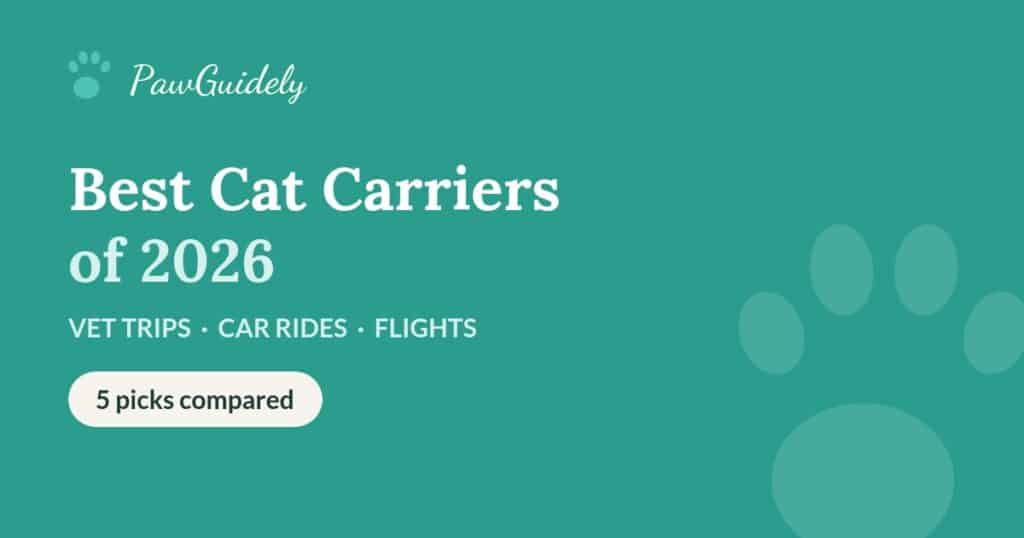 Best cat carriers of 2026 compared