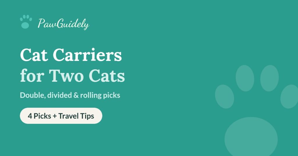 Cat carriers for two cats guide from PawGuidely
