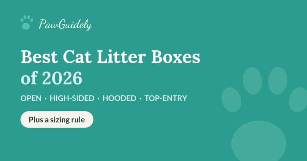 Best cat litter boxes of 2026 compared