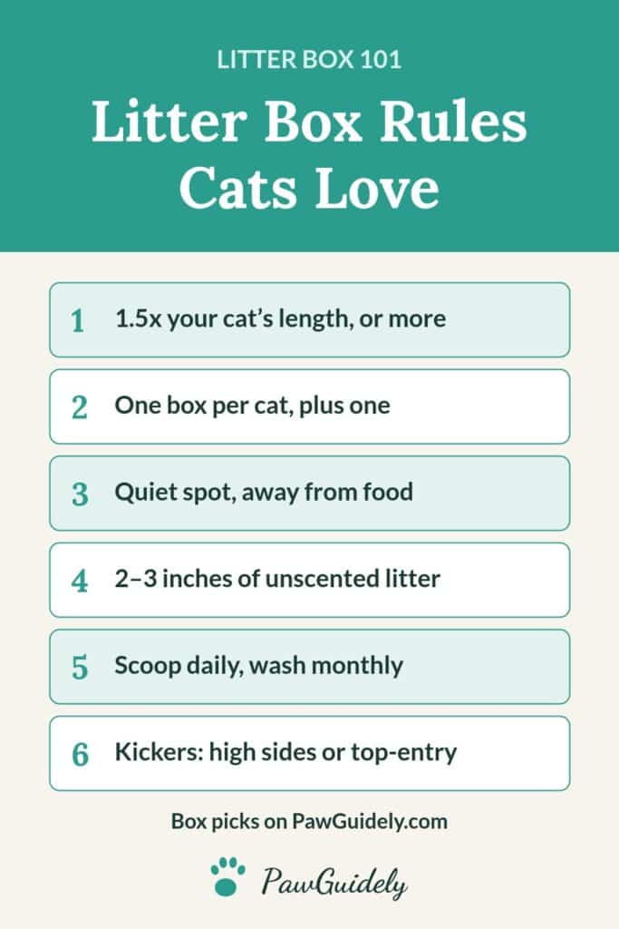 Pinterest pin: litter box rules cats love