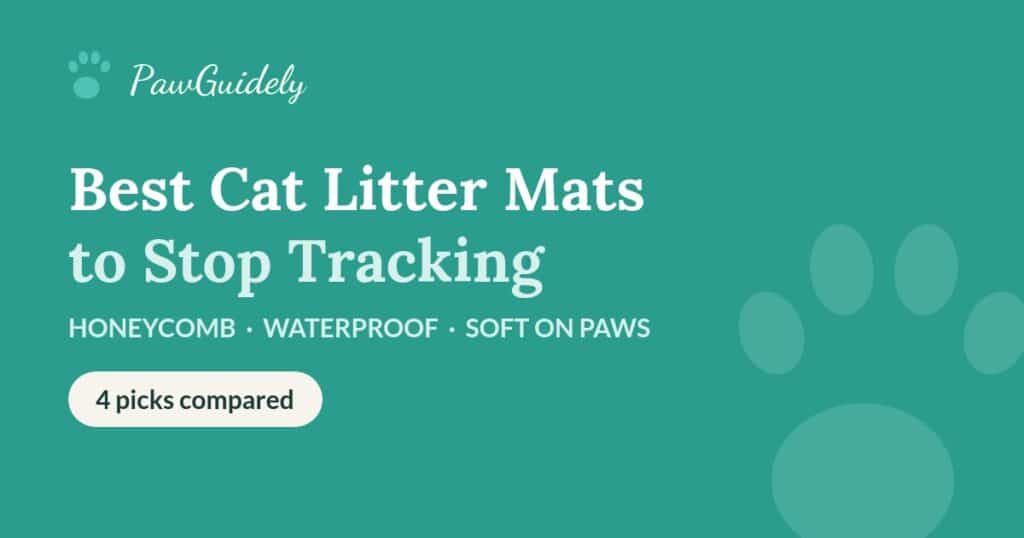 Best cat litter mats of 2026 to stop litter tracking