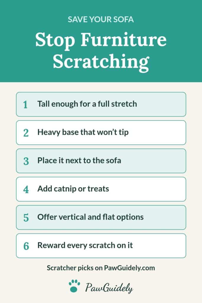 Pinterest pin: how to stop a cat scratching furniture
