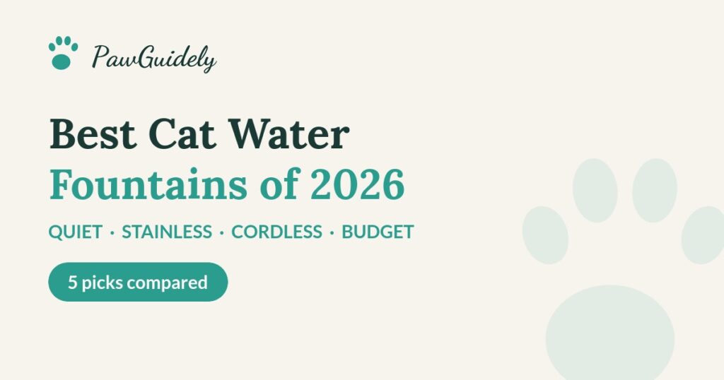 Best cat water fountains of 2026 compared