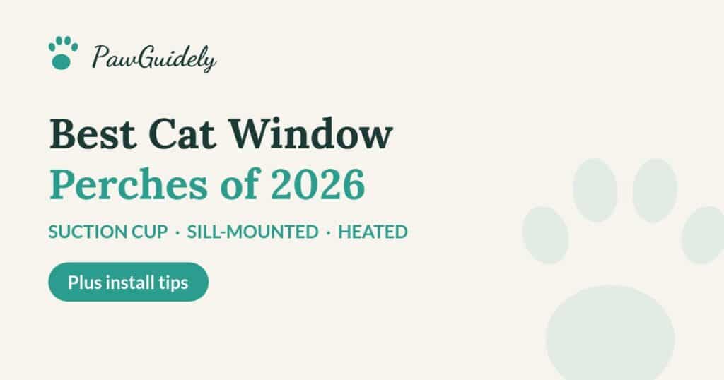 Best cat window perches of 2026