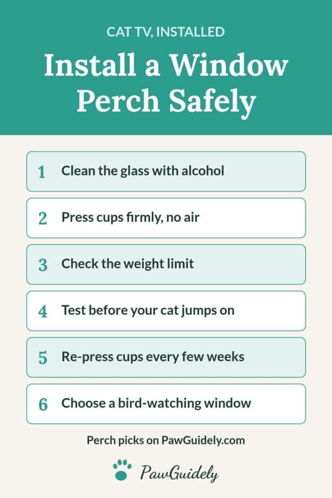 Pinterest pin: how to install a cat window perch safely