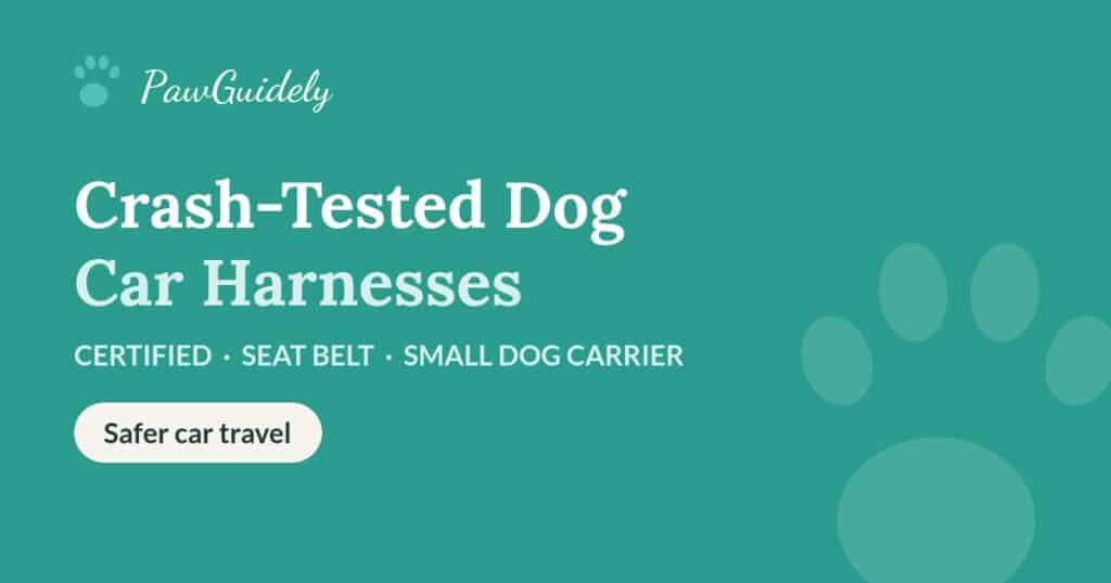 Best crash-tested dog car harnesses of 2026