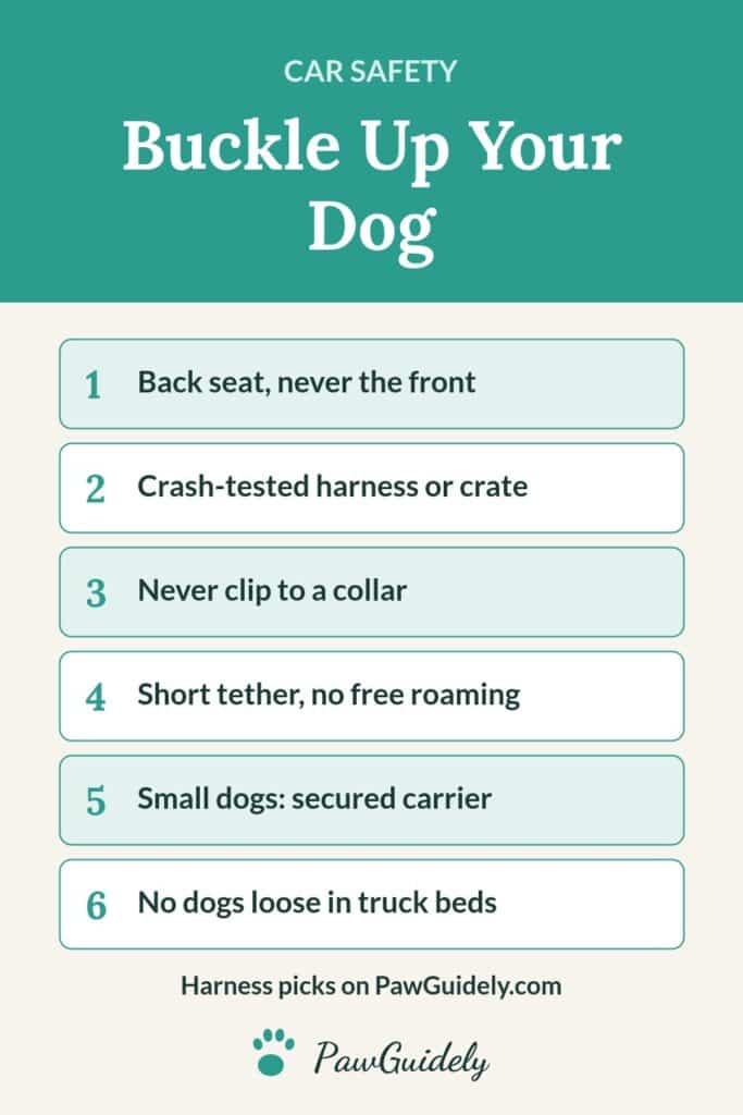 Pinterest pin: how to keep your dog safe in the car