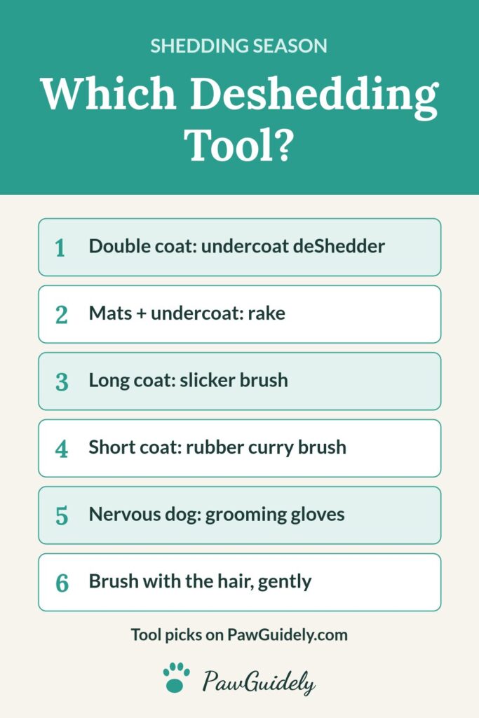 Pinterest pin: which deshedding tool suits your dog's coat