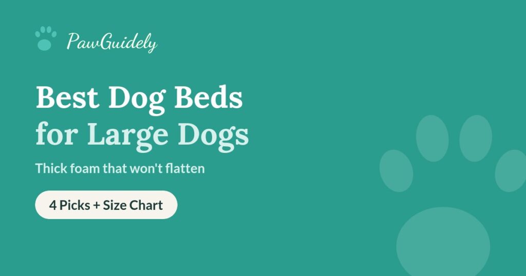 Best dog beds for large dogs guide from PawGuidely