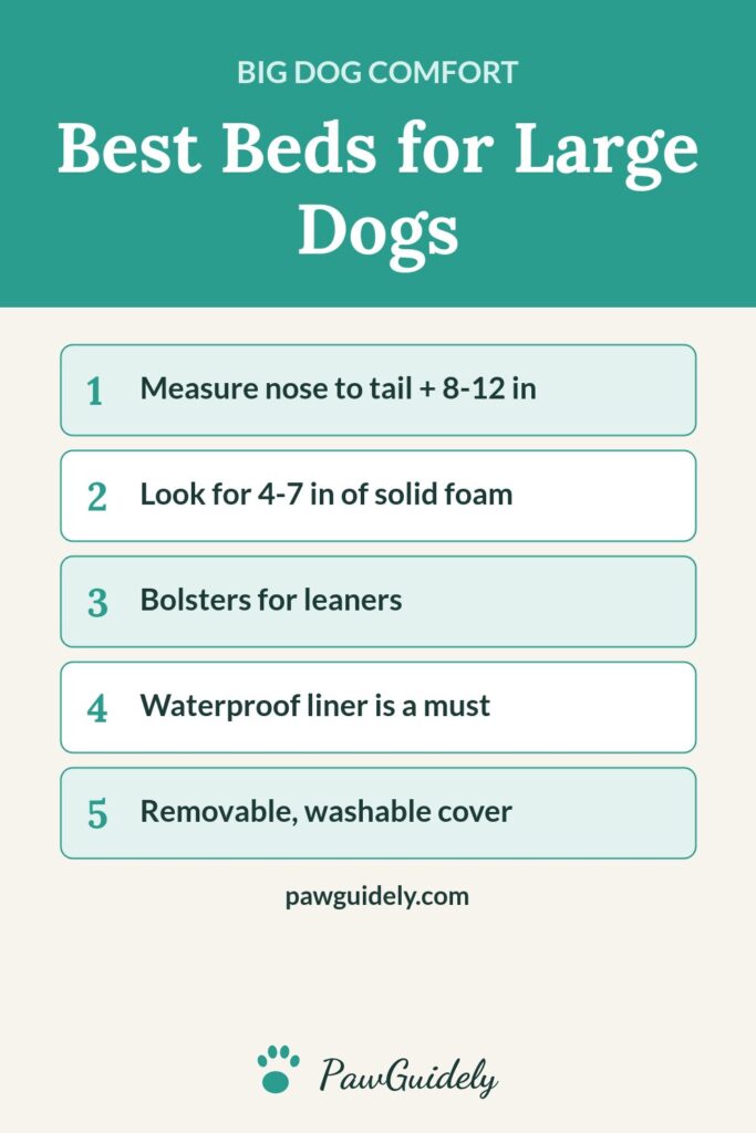 Pinterest graphic: best dog beds for large dogs
