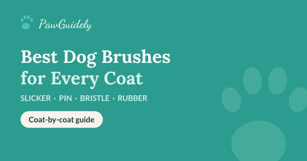 Best dog brushes for every coat type
