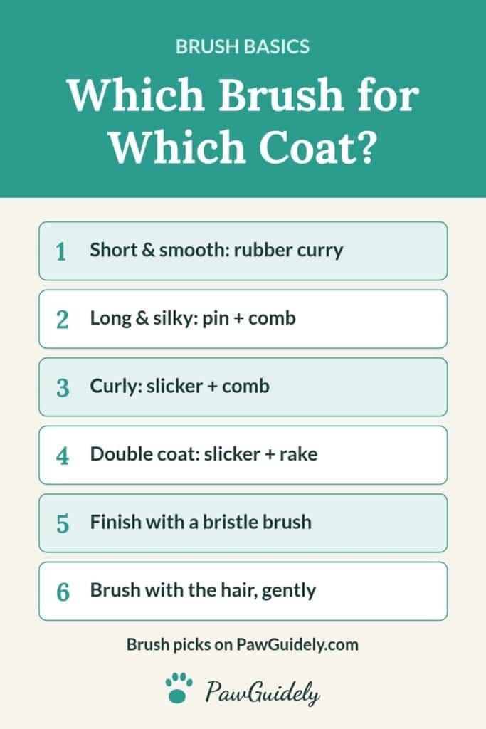 Pinterest pin: which dog brush for which coat type