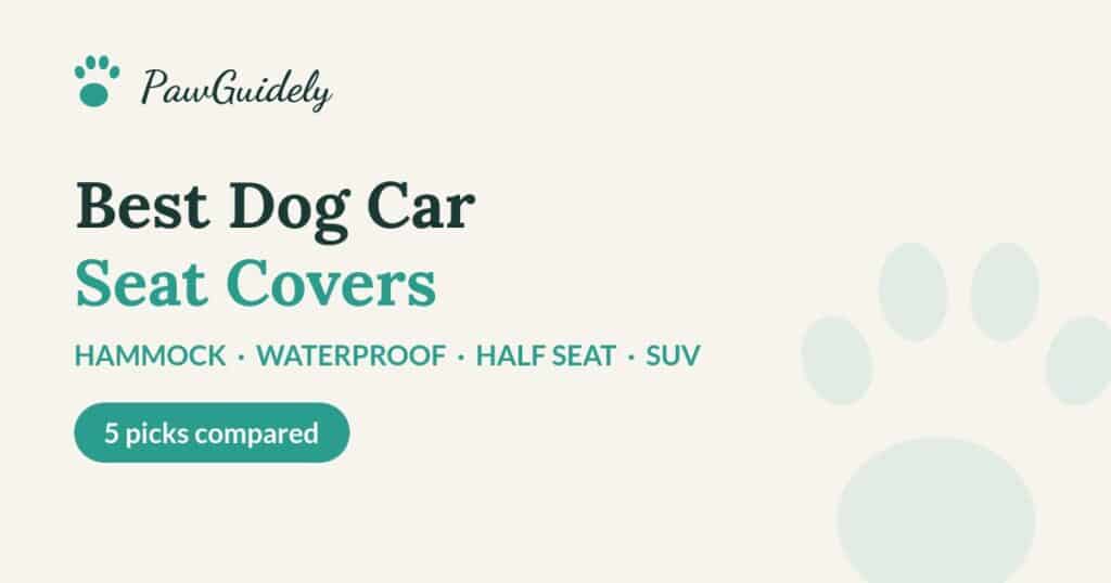 Best dog car seat covers and hammocks of 2026