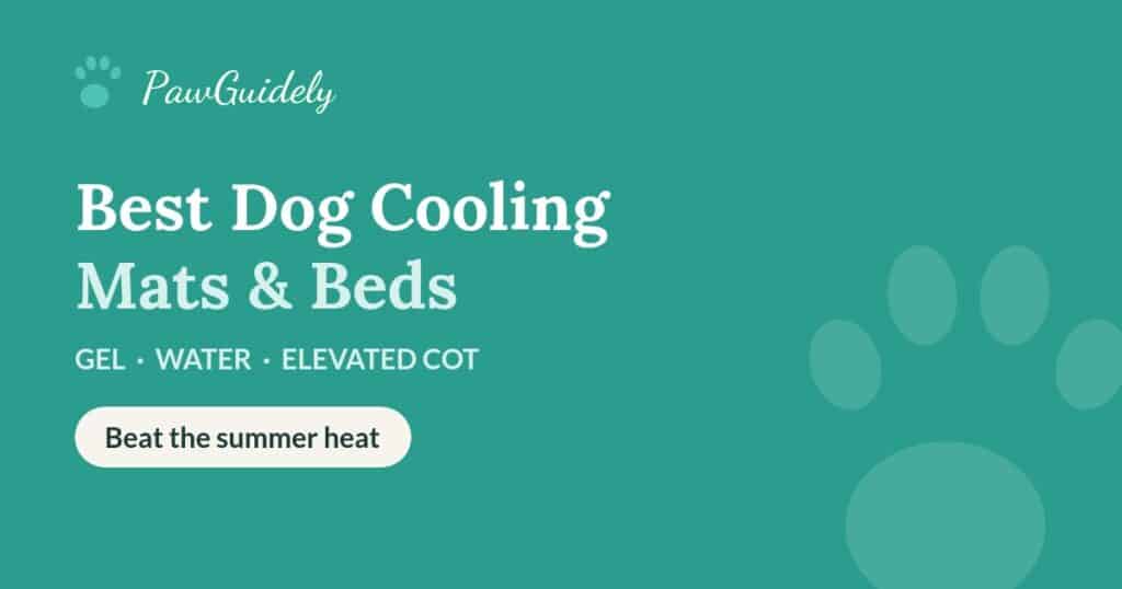 Best dog cooling mats and beds of 2026