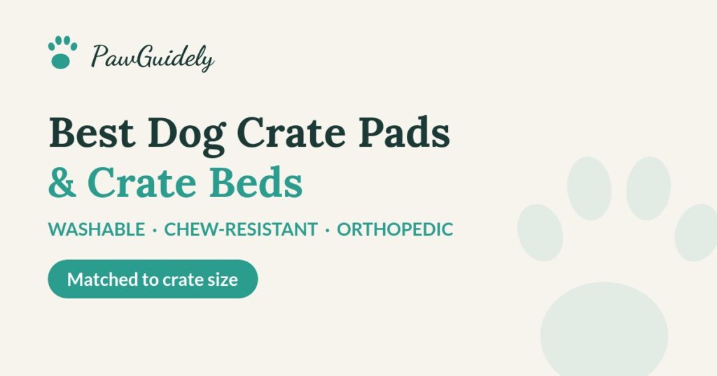 Best dog crate pads and crate beds of 2026