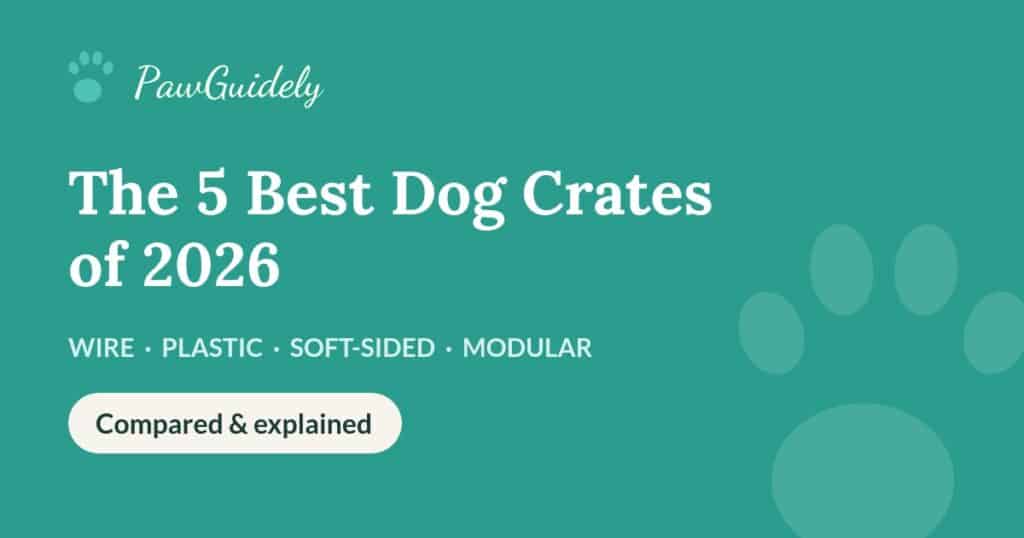 Best dog crates of 2026 compared: wire, plastic, soft-sided and modular
