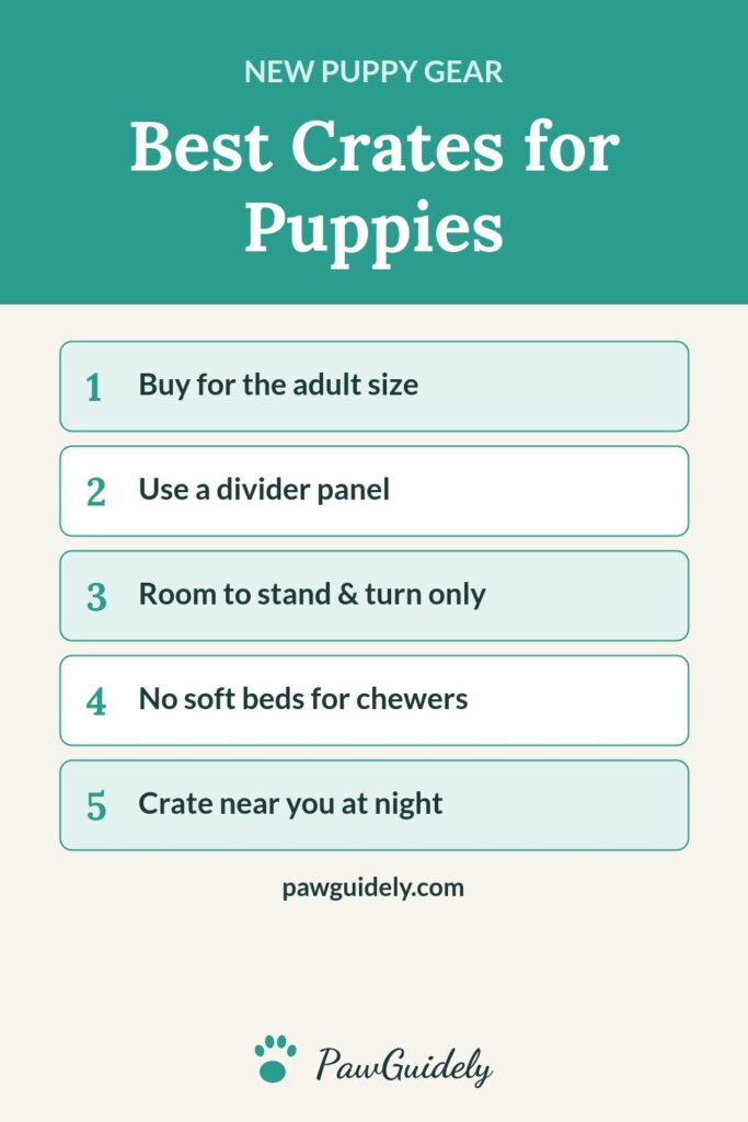Pinterest graphic: best dog crates for puppies