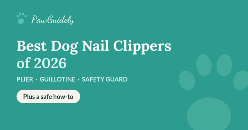 Best dog nail clippers of 2026