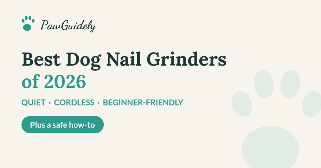 Best dog nail grinders of 2026 compared