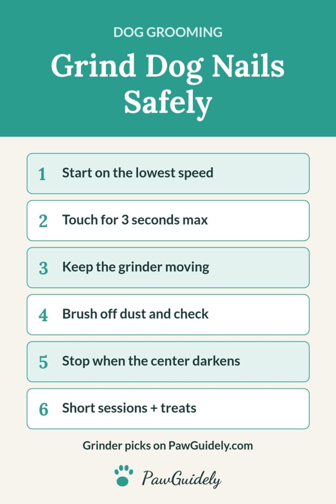 Pinterest pin: 6 steps to grind dog nails safely
