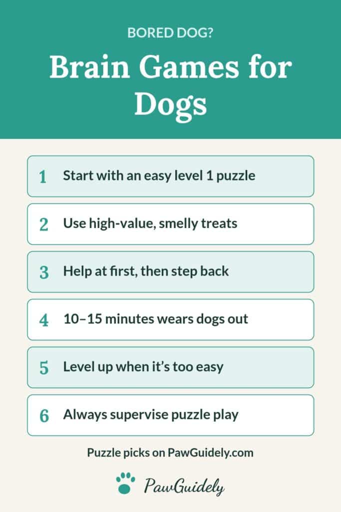 Pinterest pin: brain games and puzzle toys for dogs