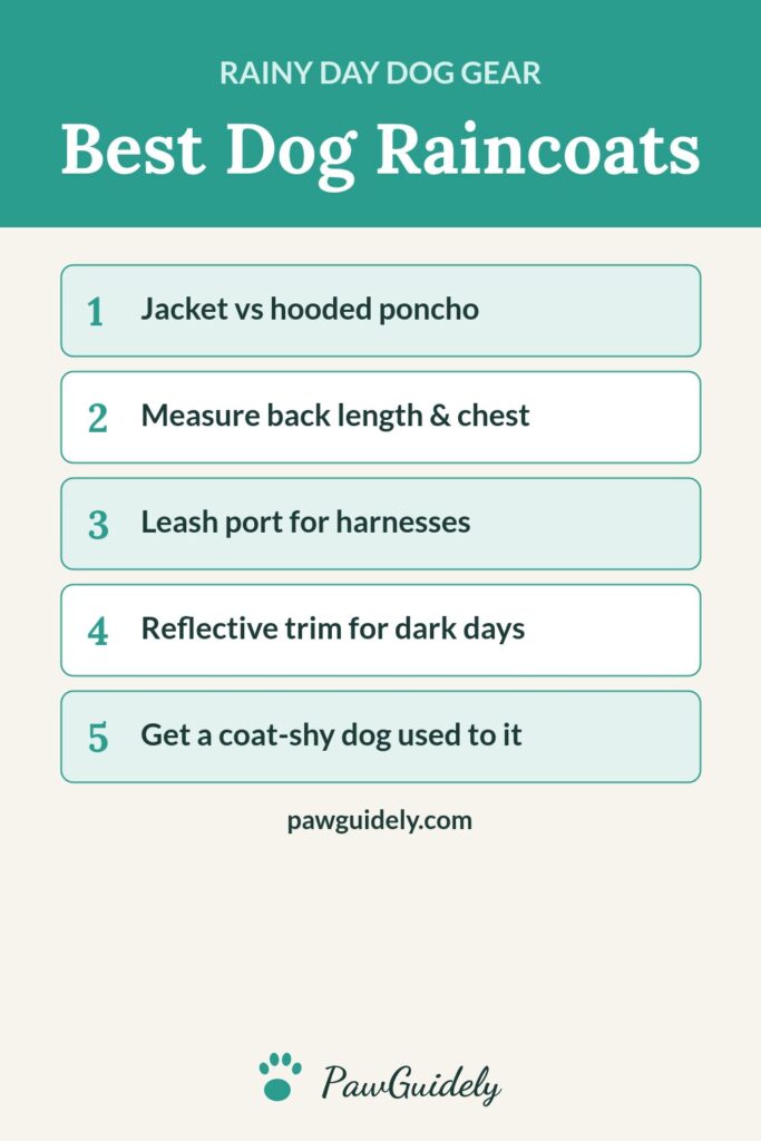 Pinterest graphic: best dog raincoats and sizing tips