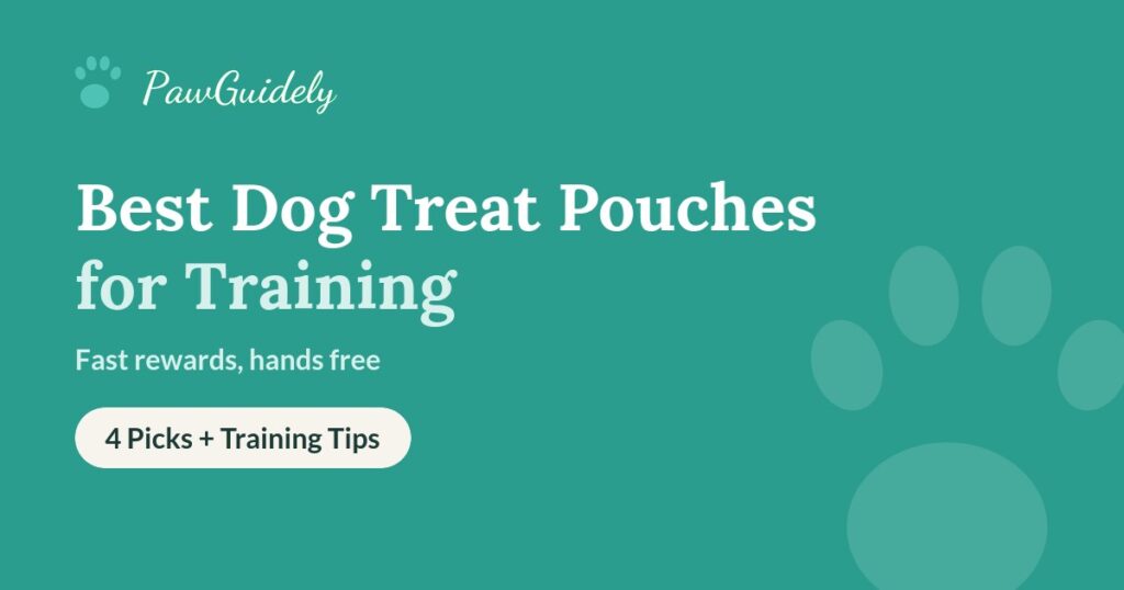 Best dog treat pouches guide from PawGuidely