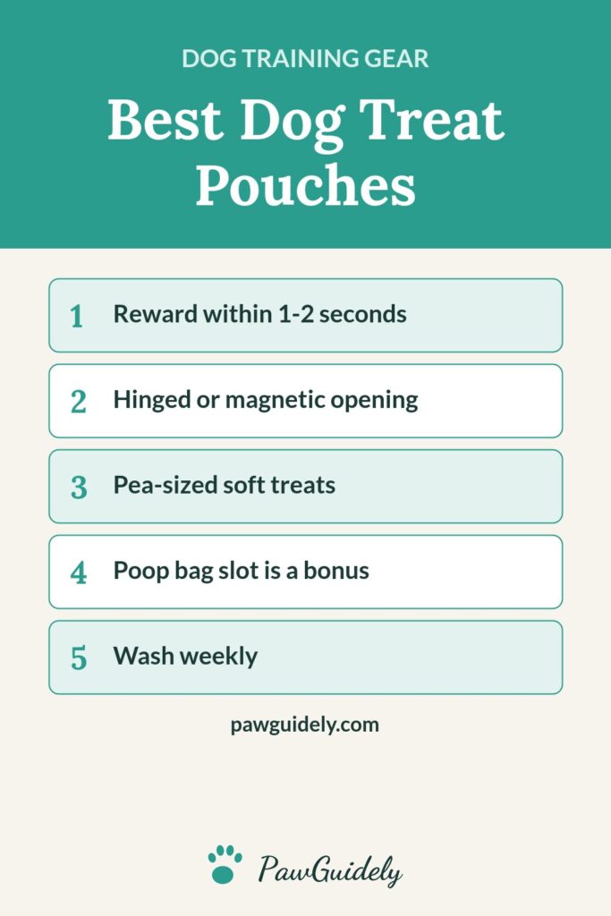 Pinterest graphic: best dog treat pouches for training