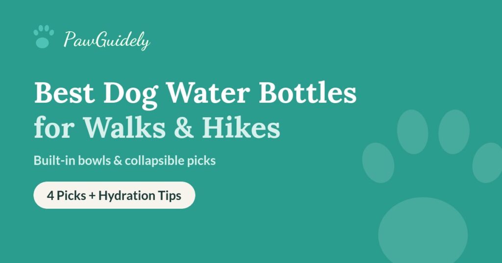 Best dog water bottles guide from PawGuidely