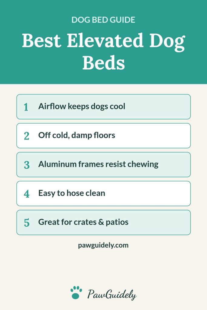 Pinterest graphic: best elevated dog beds
