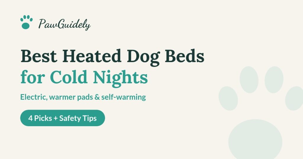 Best heated dog beds guide from PawGuidely