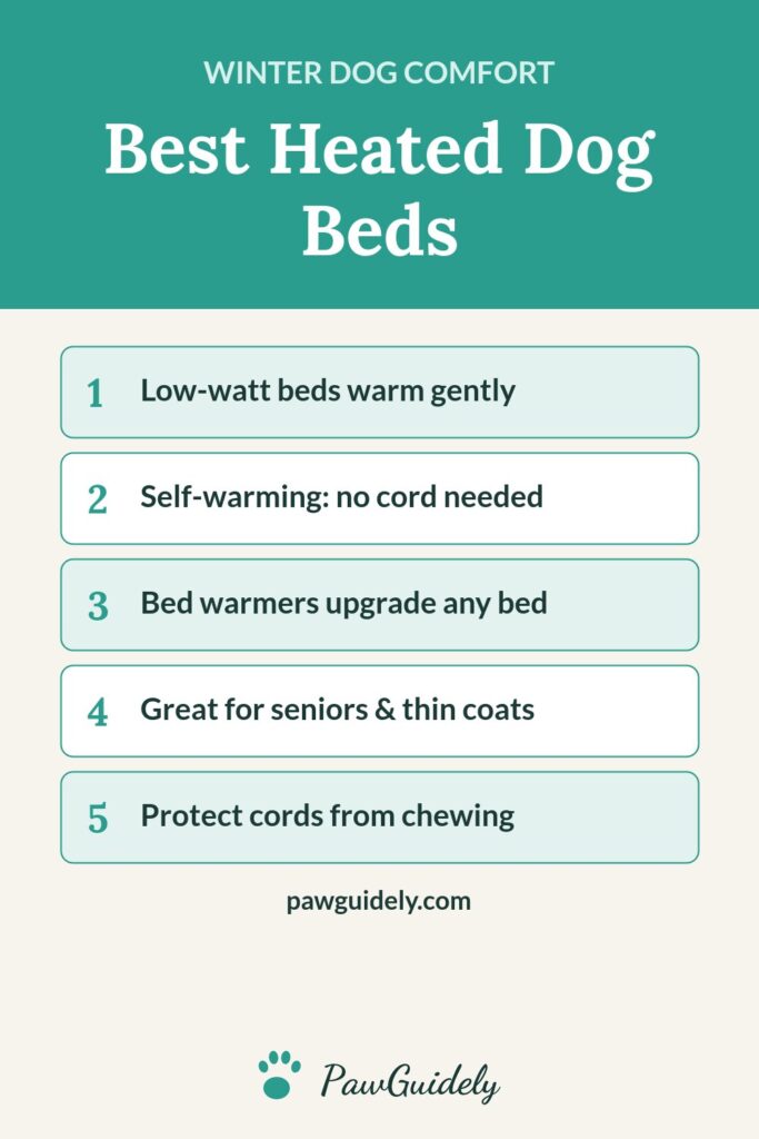 Pinterest graphic: best heated dog beds
