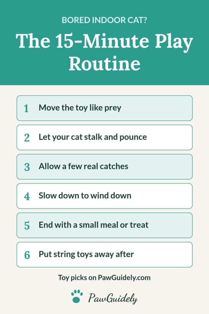 Pinterest pin: a 15-minute play routine for indoor cats