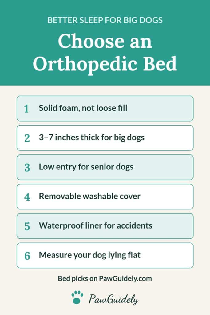Pinterest pin: how to choose an orthopedic dog bed
