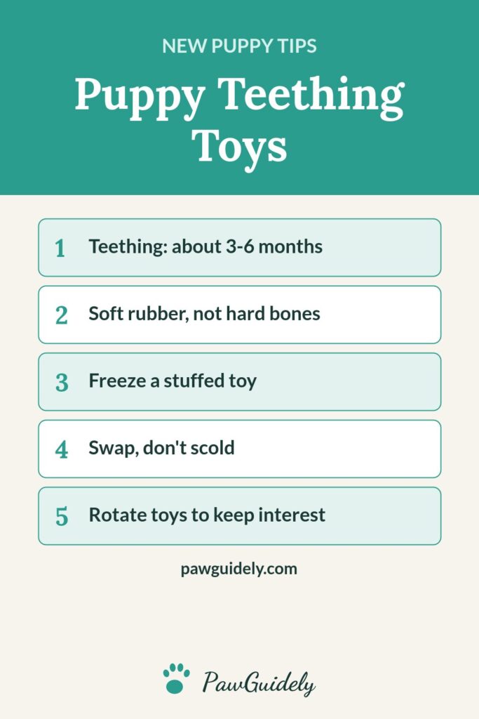 Pinterest graphic: best puppy teething toys