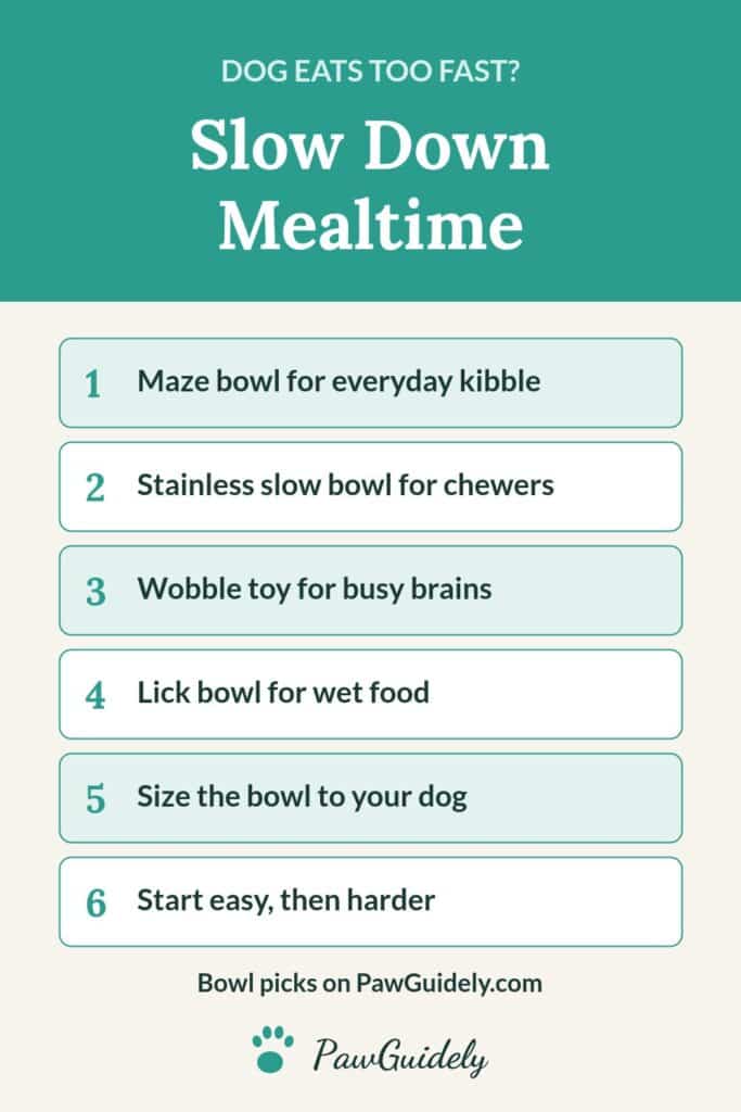 Pinterest pin: ways to slow down a dog that eats too fast