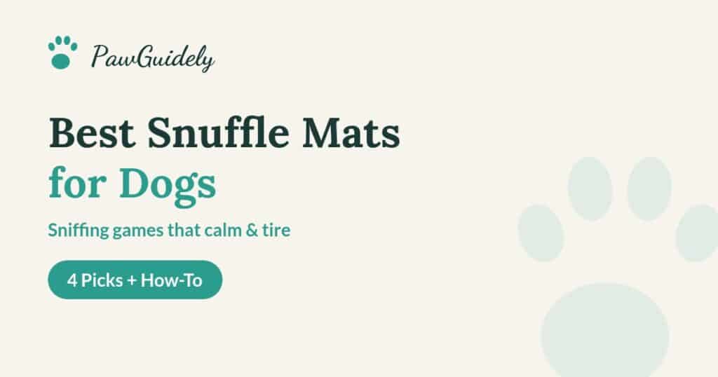Best snuffle mats for dogs guide from PawGuidely