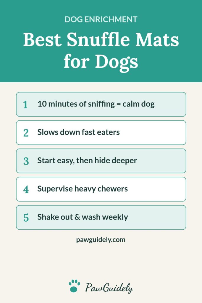 Pinterest graphic: best snuffle mats for dogs