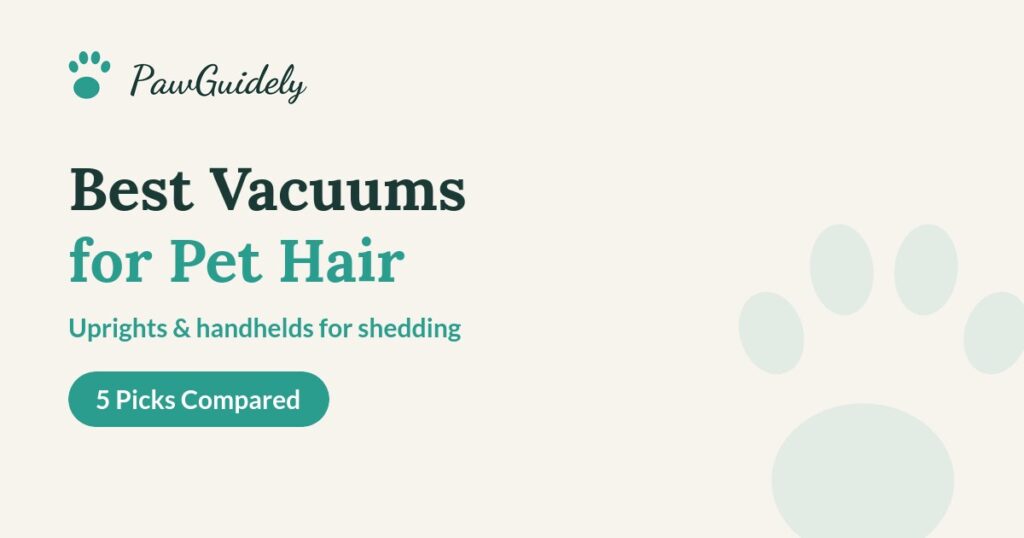 Best vacuums for pet hair guide from PawGuidely