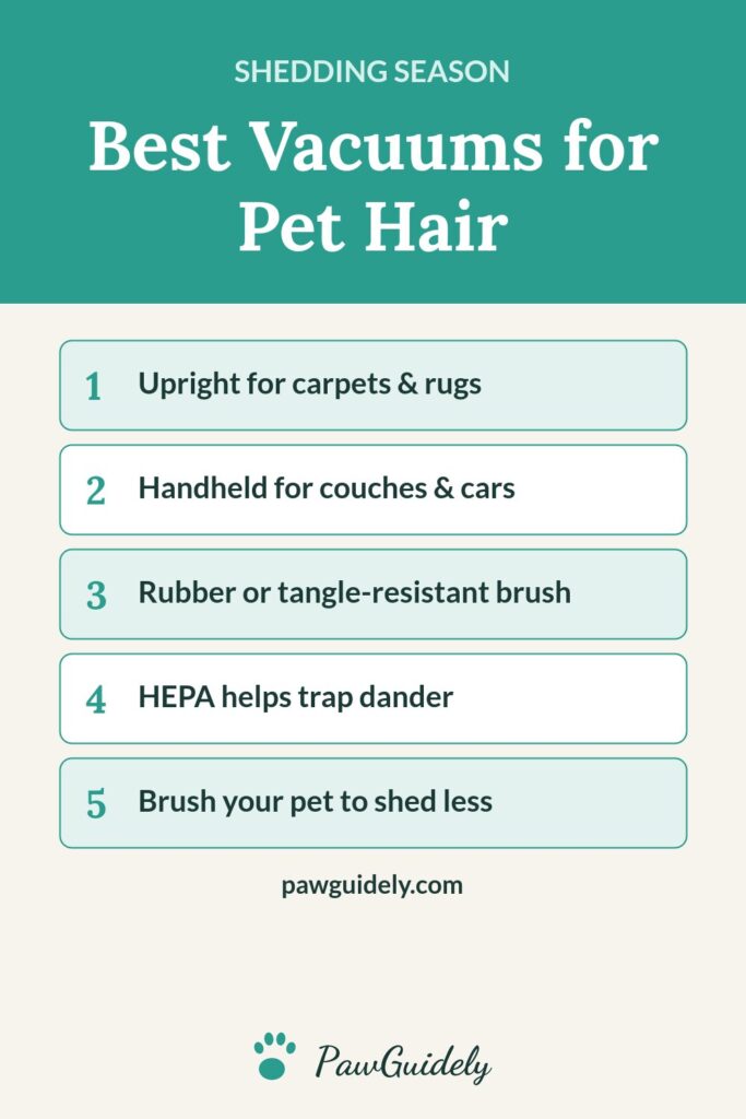 Pinterest graphic: best vacuums for pet hair