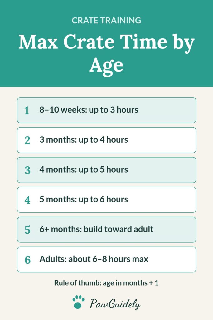 Crate training schedule pin: maximum crate time by puppy age