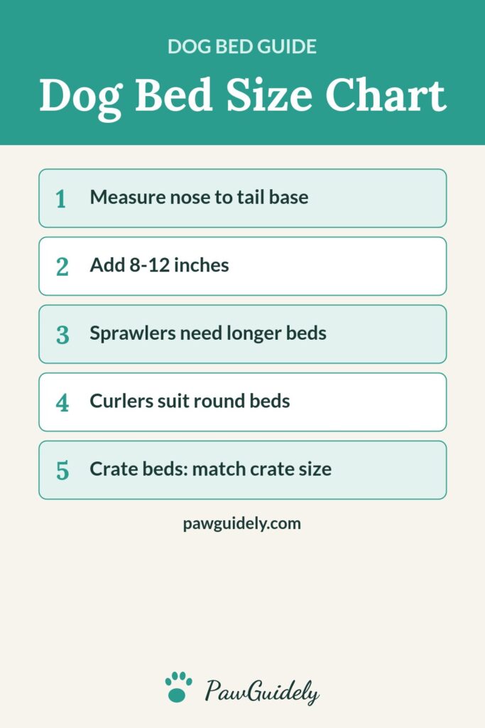 Pinterest graphic: dog bed size chart