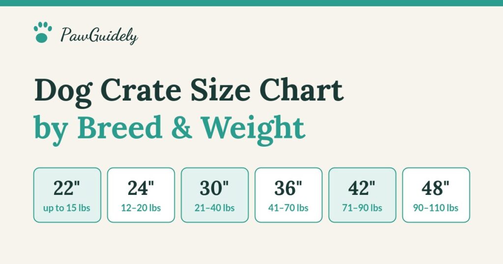 Dog crate size chart by breed and weight, from 22 inch to 48 inch crates