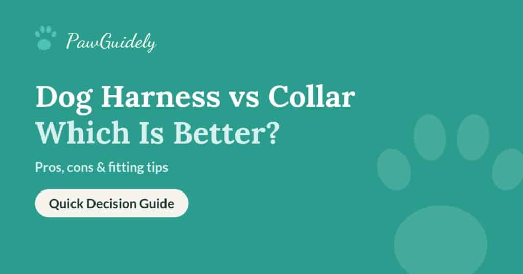 Dog harness vs collar guide from PawGuidely