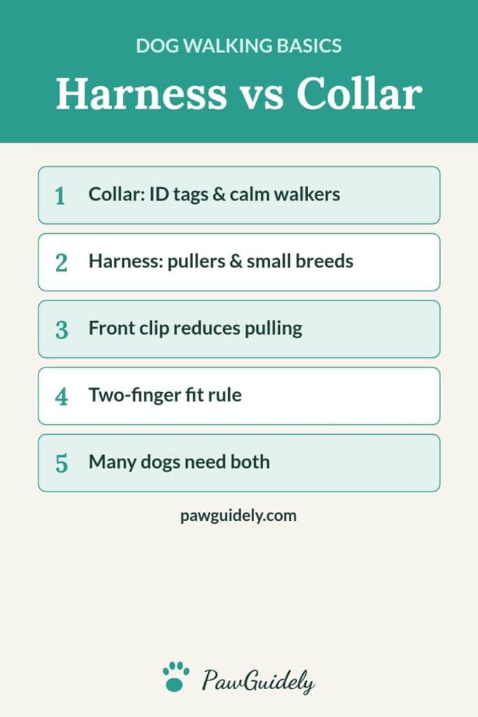 Pinterest graphic: dog harness vs collar comparison