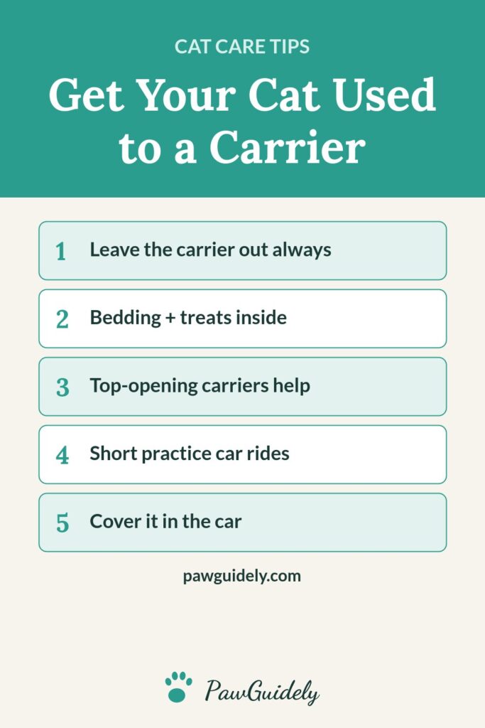 Pinterest graphic: how to get your cat used to a carrier
