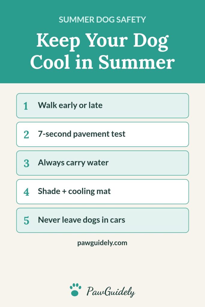 Pinterest graphic: how to keep your dog cool in summer